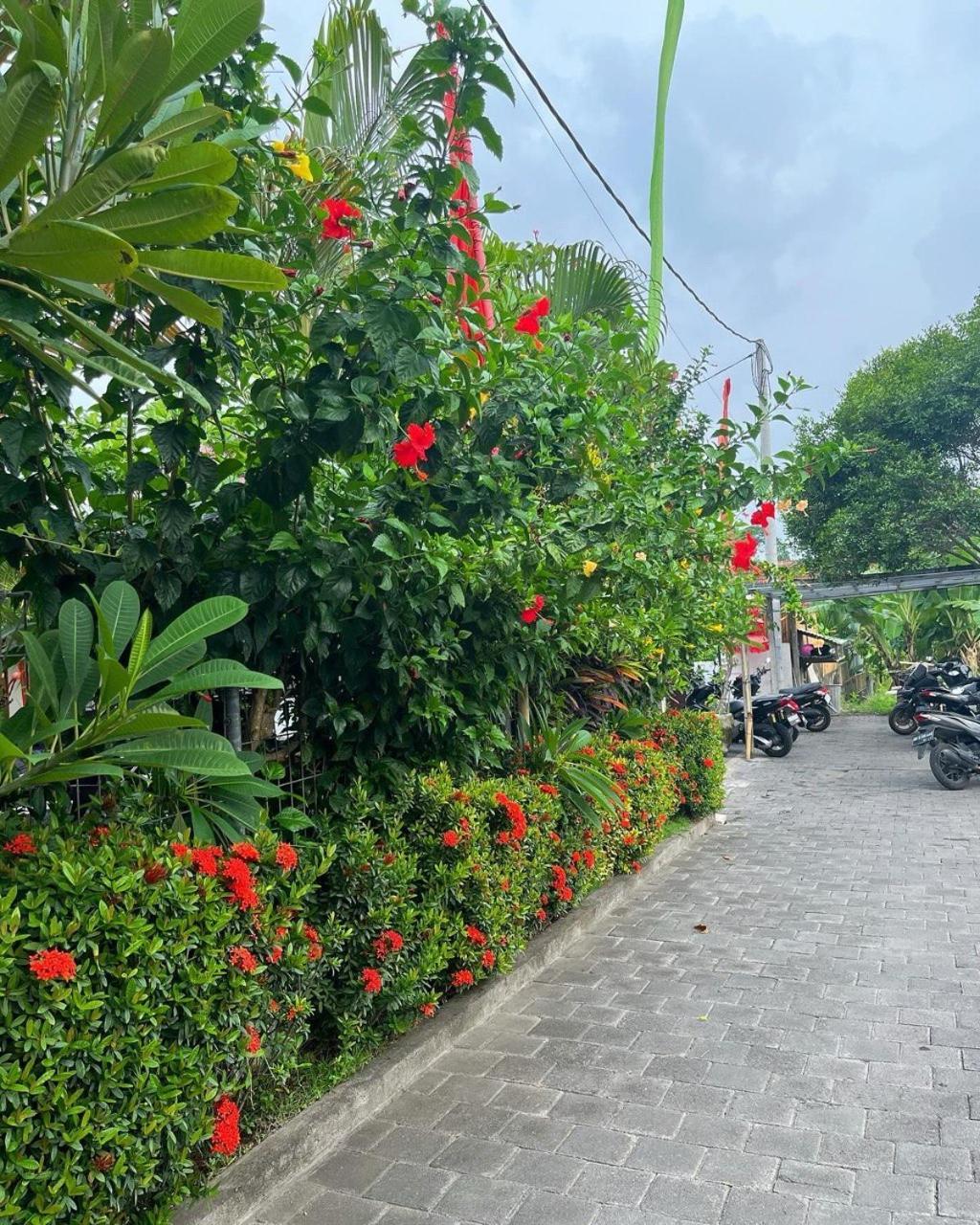 Pererenan Nengah Guest House Canggu Экстерьер фото