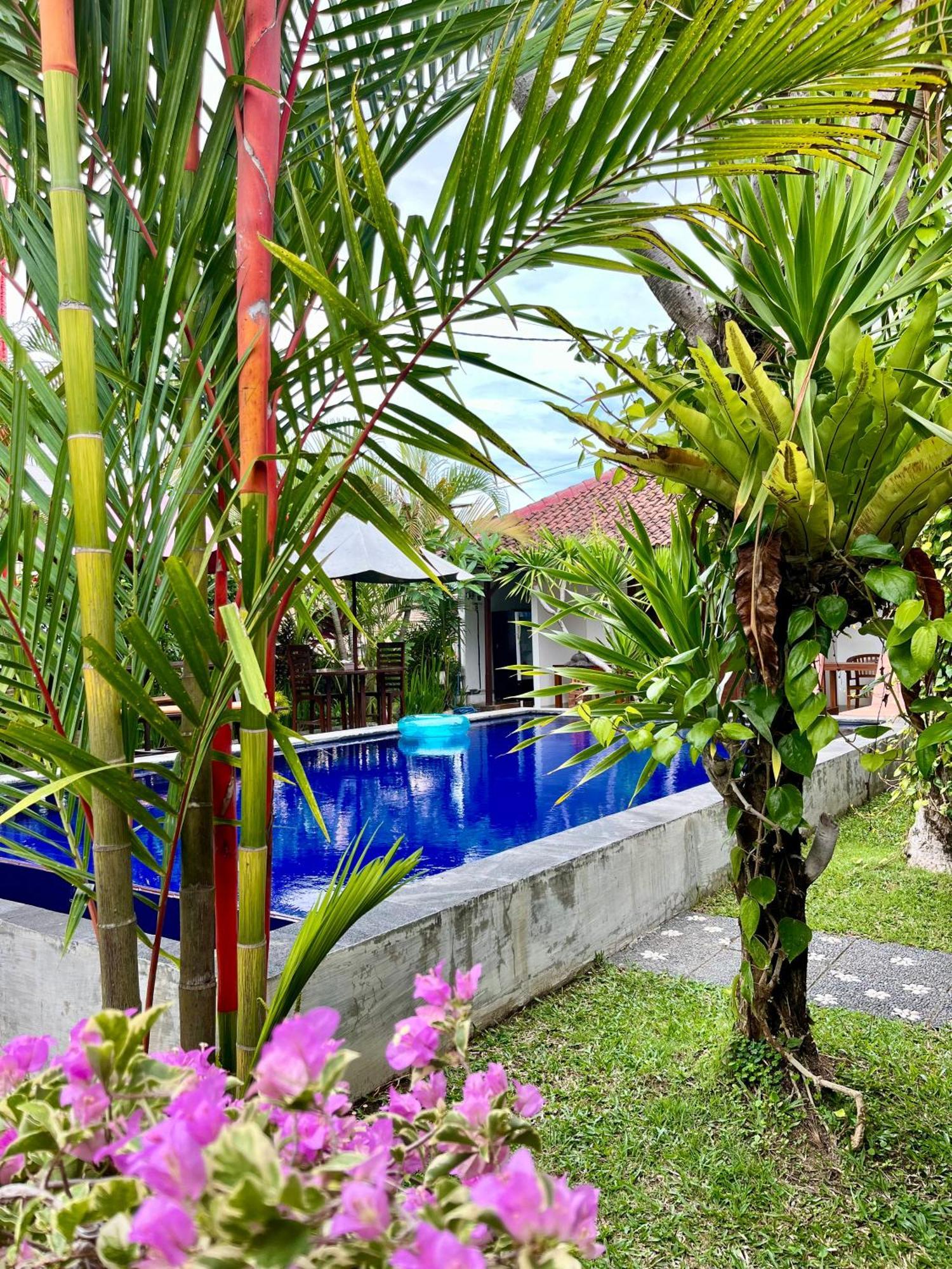 Pererenan Nengah Guest House Canggu Экстерьер фото
